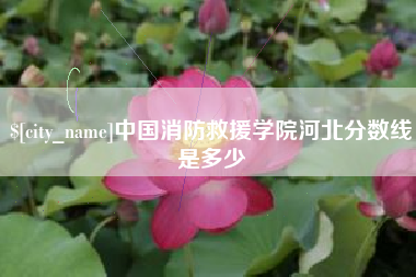宁波中国消防救援学院河北分数线是多少