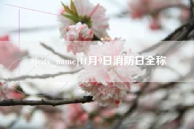 宁波11月9日消防日全称