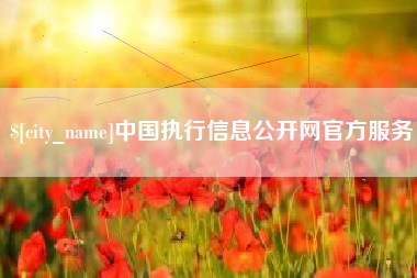 宁波中国执行信息公开网官方服务