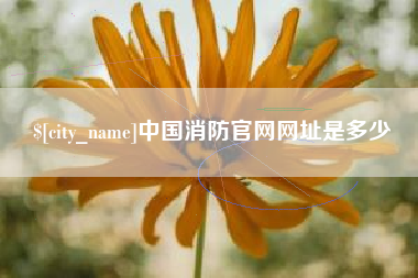 宁波中国消防官网网址是多少