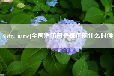 宁波全国消防日是每年的什么时候