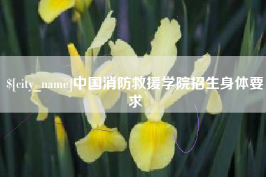 宁波中国消防救援学院招生身体要求