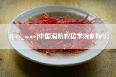 宁波中国消防救援学院副院长