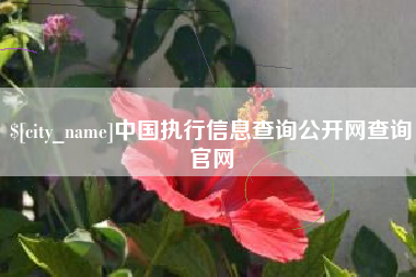 宁波中国执行信息查询公开网查询官网