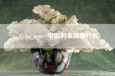 宁波中国的金牌有几名