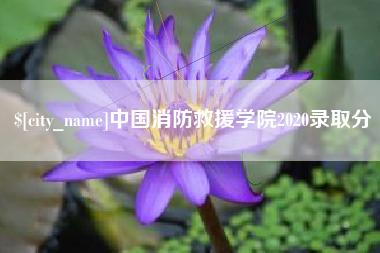 宁波中国消防救援学院2020录取分