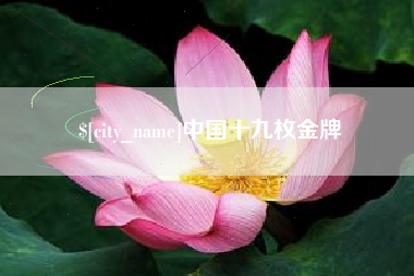 宁波中国十九枚金牌