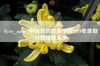 宁波中国消防救援学院2019年录取分数线是多少