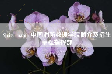 宁波中国消防救援学院简介及招生章程指挥部