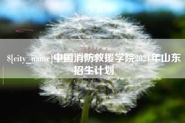 宁波中国消防救援学院2021年山东招生计划