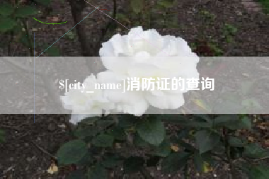 宁波消防证的查询
