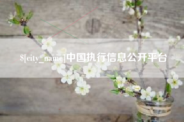 宁波中国执行信息公开平台