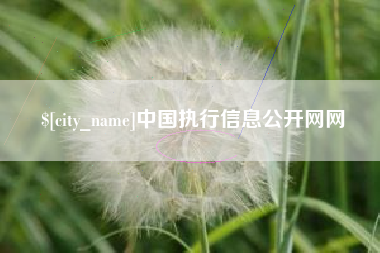 宁波中国执行信息公开网网