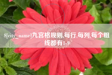 宁波九宫格规则,每行,每列,每个粗线都有1-9