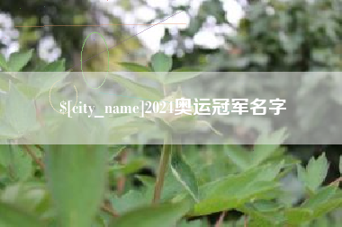 宁波2024奥运冠军名字