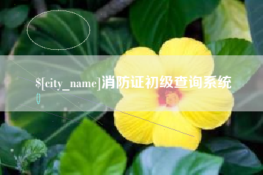 宁波消防证初级查询系统