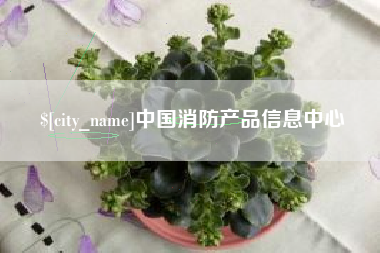 宁波中国消防产品信息中心