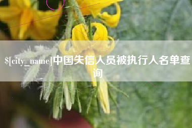 宁波中国失信人员被执行人名单查询