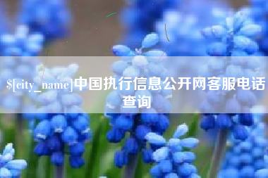 宁波中国执行信息公开网客服电话查询