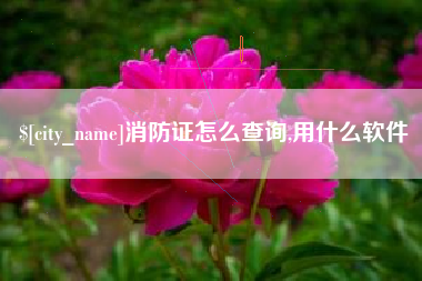 宁波消防证怎么查询,用什么软件