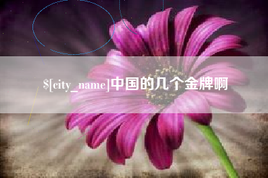 宁波中国的几个金牌啊