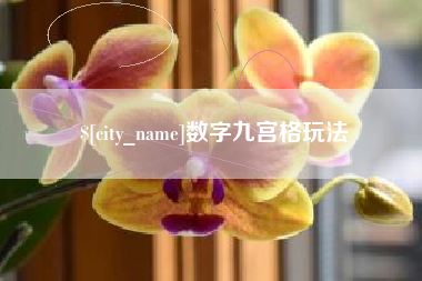 宁波数字九宫格玩法