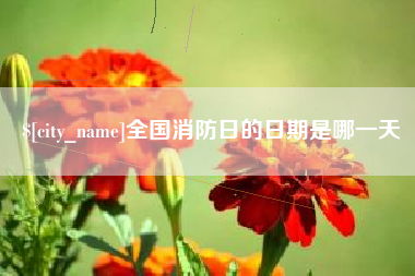 宁波全国消防日的日期是哪一天