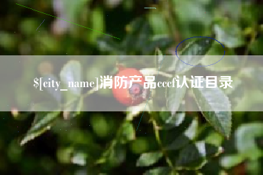 宁波消防产品cccf认证目录