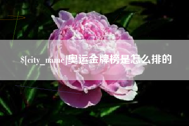 宁波奥运金牌榜是怎么排的