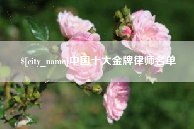 宁波中国十大金牌律师名单