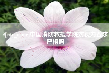 宁波中国消防救援学院对视力要求严格吗