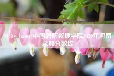 宁波中国消防救援学院2020年河南录取分数线