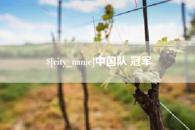 宁波中国队 冠军