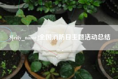 宁波全国消防日主题活动总结