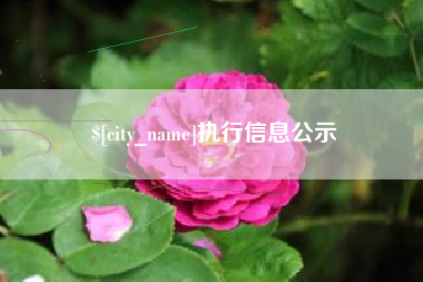 宁波执行信息公示