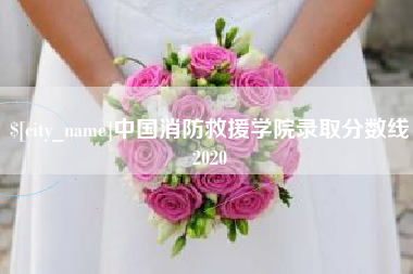 宁波中国消防救援学院录取分数线2020