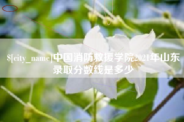 宁波中国消防救援学院2021年山东录取分数线是多少