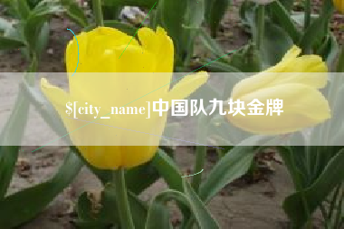 宁波中国队九块金牌