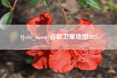 宁波谷歌卫星地图2025
