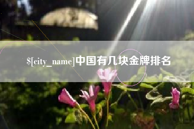 宁波中国有几块金牌排名