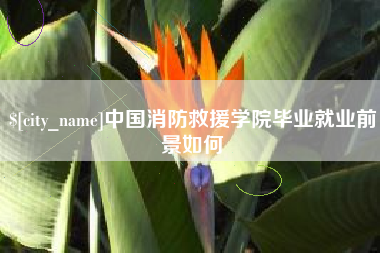 宁波中国消防救援学院毕业就业前景如何