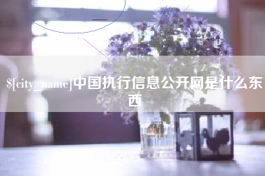 宁波中国执行信息公开网是什么东西