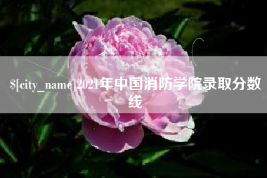 宁波2021年中国消防学院录取分数线