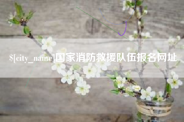 宁波国家消防救援队伍报名网址