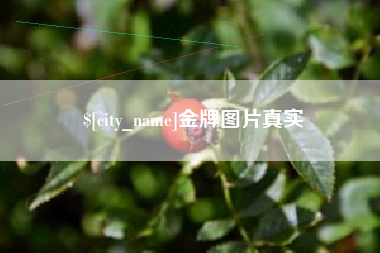 宁波金牌图片真实