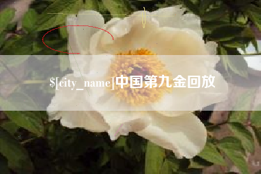 宁波中国第九金回放