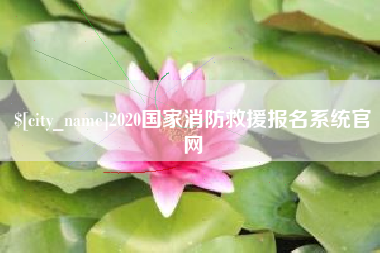 宁波2020国家消防救援报名系统官网