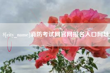 宁波消防考试网官网报名入口网址