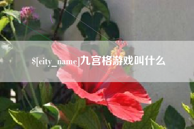 宁波九宫格游戏叫什么