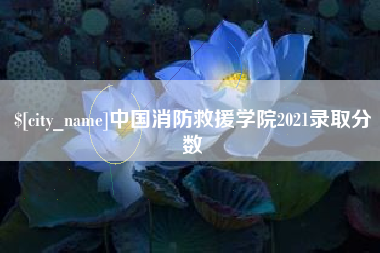 宁波中国消防救援学院2021录取分数